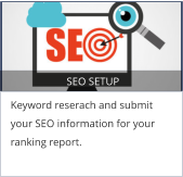 SEO SETUP Keyword reserach and submit your SEO information for your ranking report.